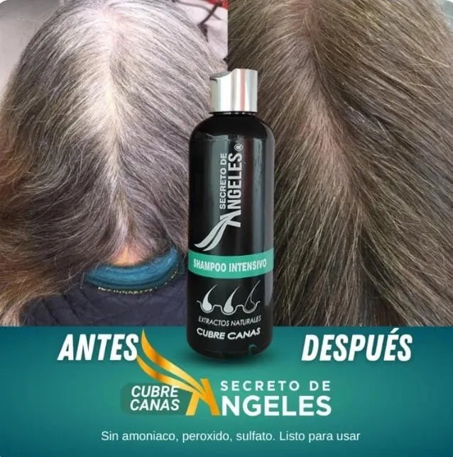 Shampo Canas Secretox 1UN+2OBSEQ
